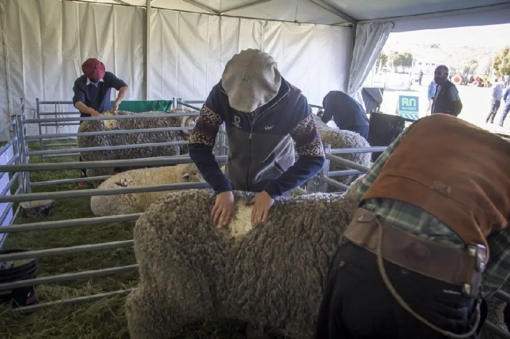 Bariloche se prepara para la Expo Rural