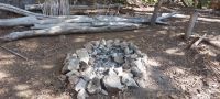 Descubren y desmontan fogones clandestinos y áreas de acampe en el Parque Llao Llao