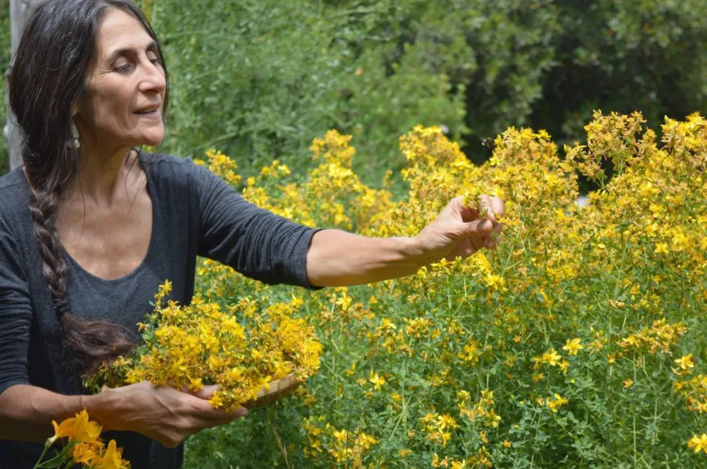 Sara Itkin, la "médica yuyera", fue distinguida por la Legislatura 
