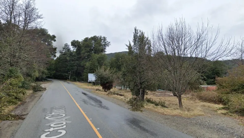 Una empresa de poda deberá resarcir a una conductora debido a que una rama aplastó su vehículo