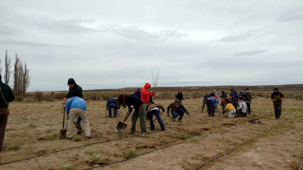 La UNRN realizará más de veinte proyectos territoriales en toda la provincia