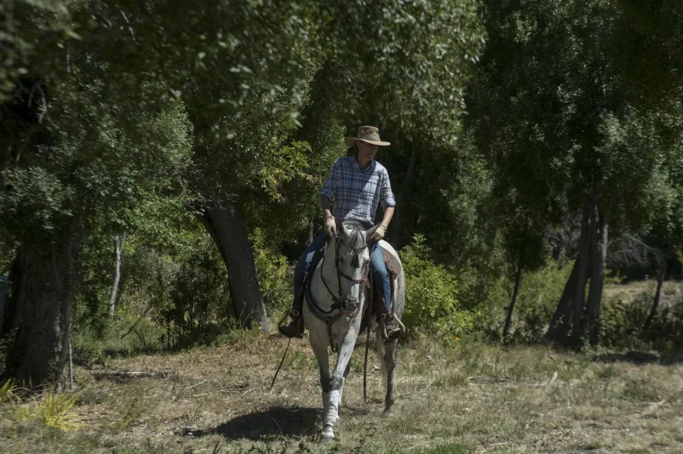 Cómo sigue el cronograma de la Expo Rural