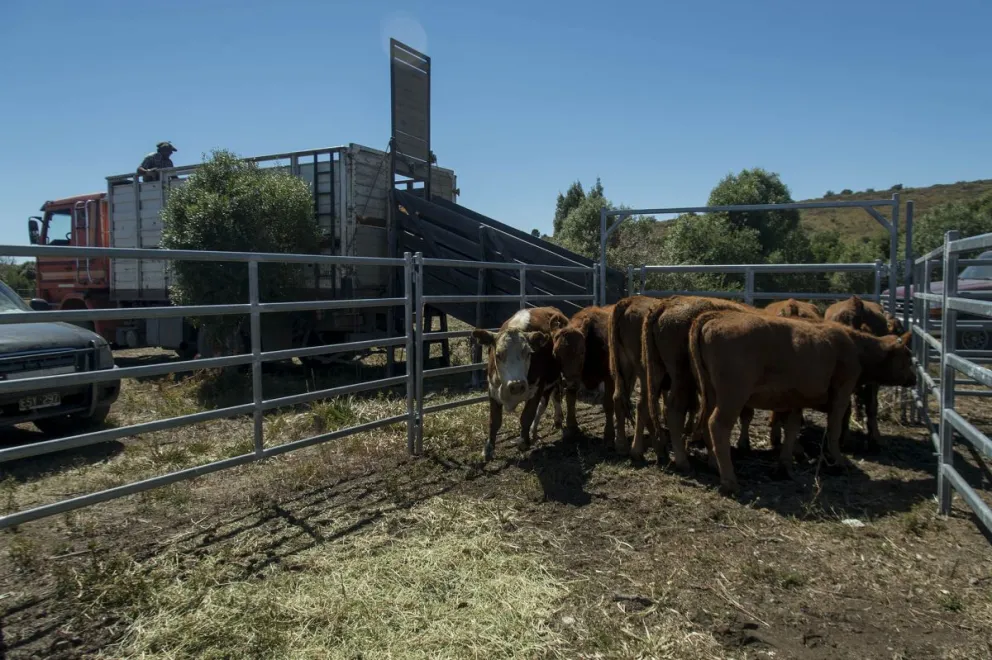 Productores rurales contra los cambios en la barrera sanitaria