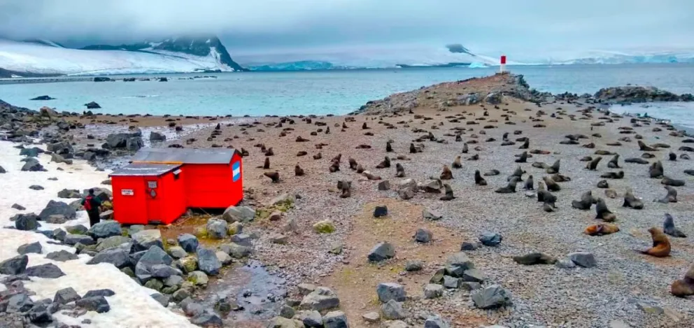 Hoy se conmemora el Día de la Antártida