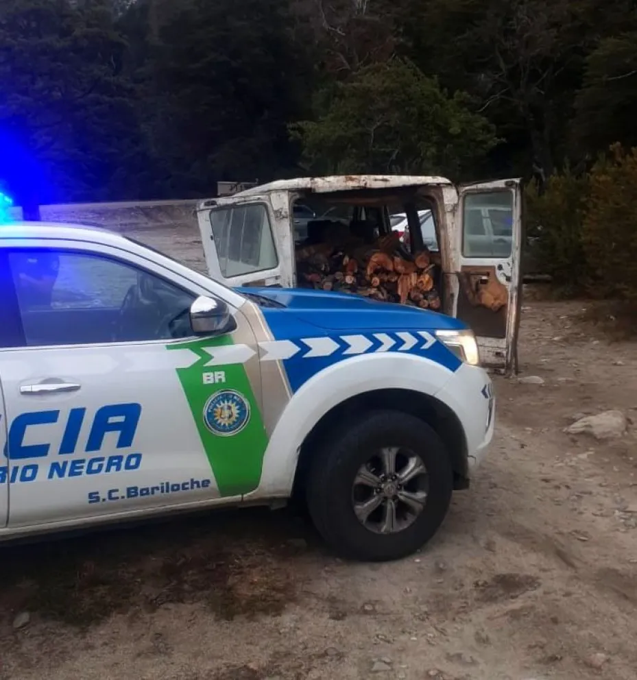 Trasladaba leña de especies nativas taladas sin autorización