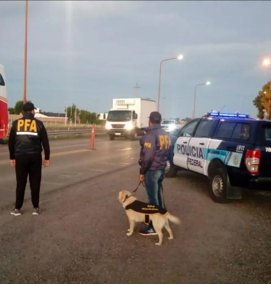 Detuvieron a un joven que transportaba un kilo de marihuana hacia Bariloche