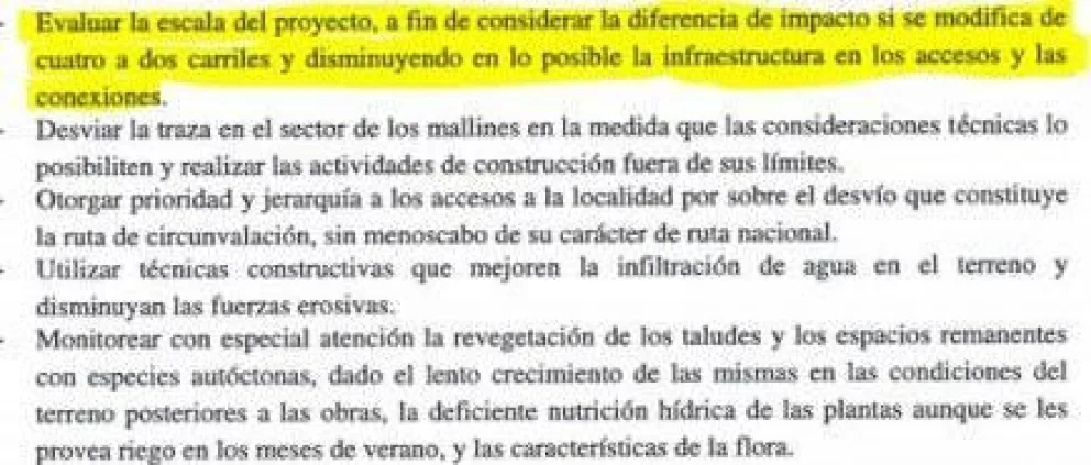 Talarían 27 mil árboles nativos para construir Ruta de Circunvalación
