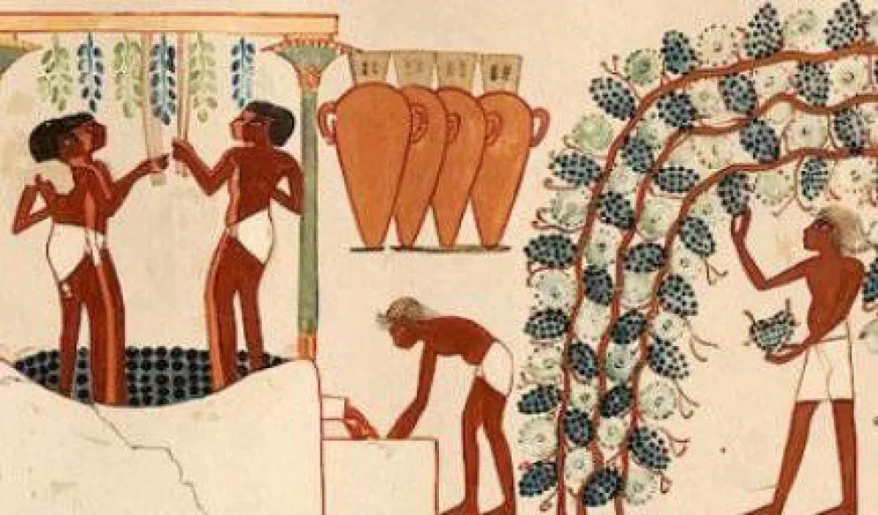 Los primeros vinos del mundo