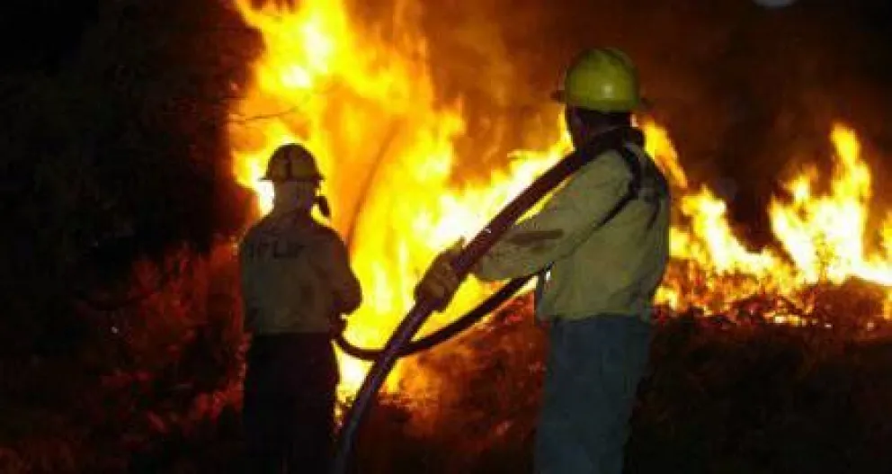 Martini destacó el Día del Combatiente de Incendios Forestales
