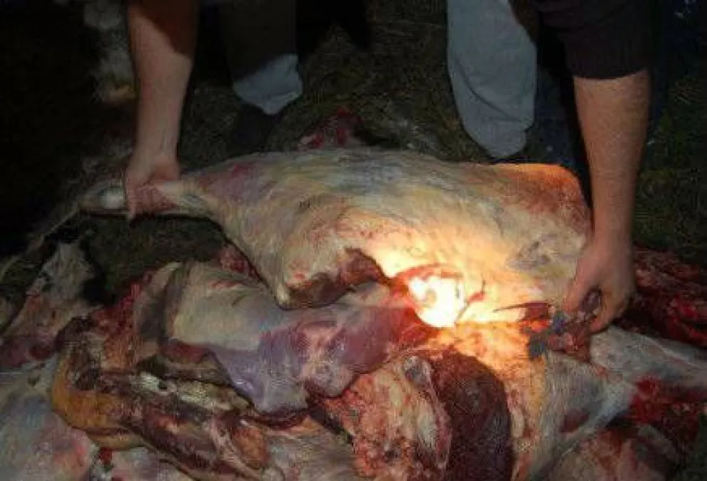 Secuestraron 1000 kilos de carne