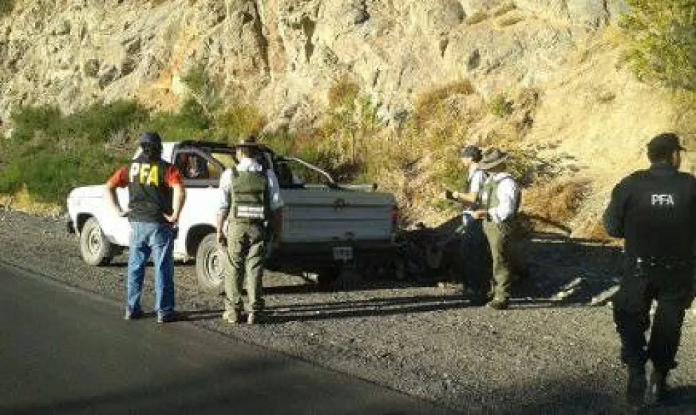 Detectan extracción ilegal de leña