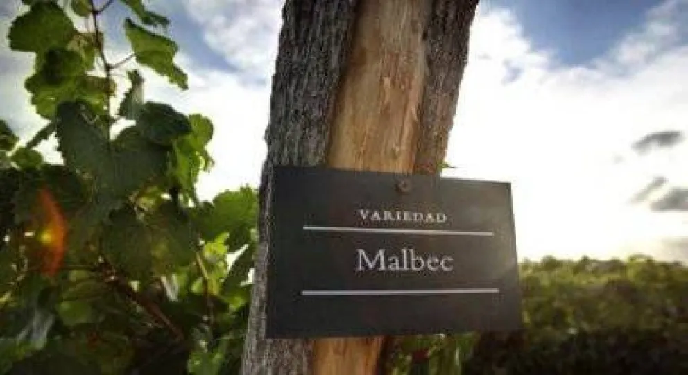 La historia del Malbec argentino