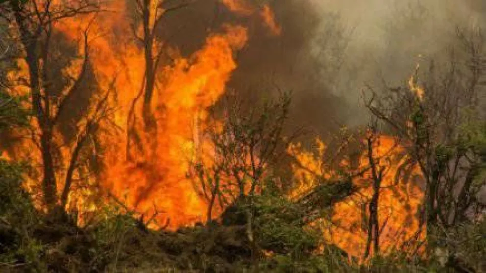 Vecinos se unen para marchar contra los incendios forestales