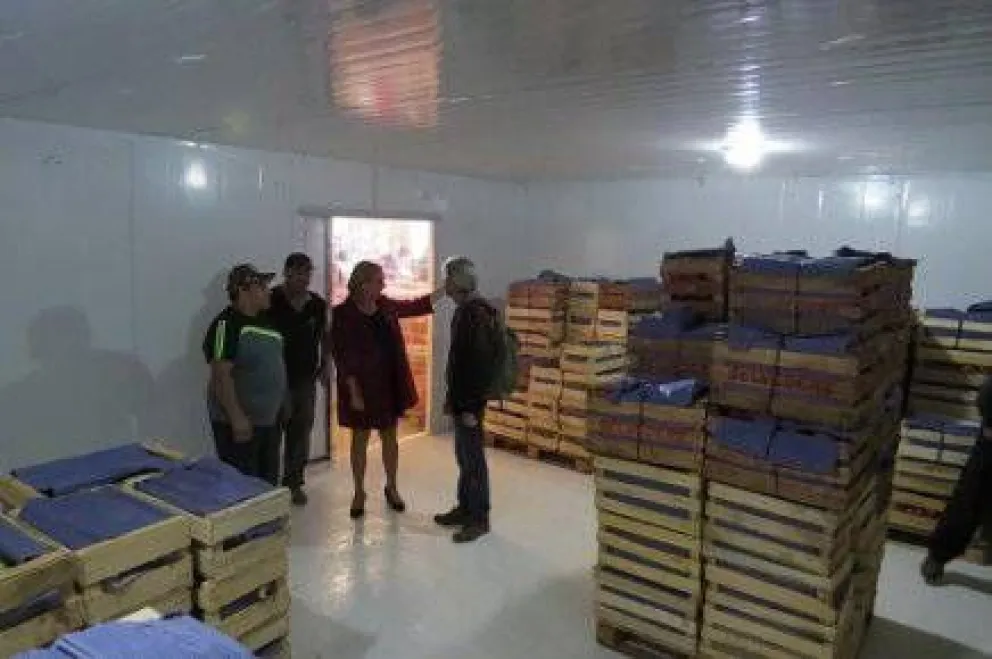 Nueva cámara de frío para el Mercado Comunitario Municipal
