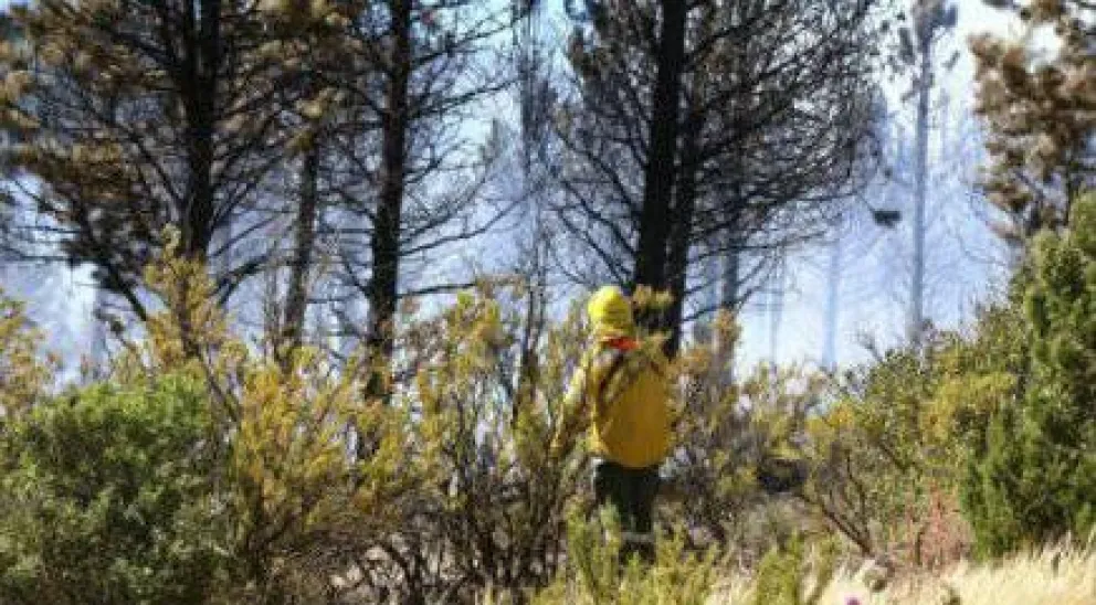 Controlaron incendio en el cerro Carbón