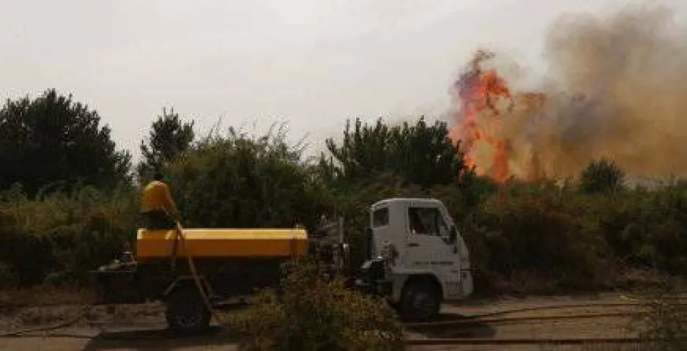 Controlan incendio forestal en el este