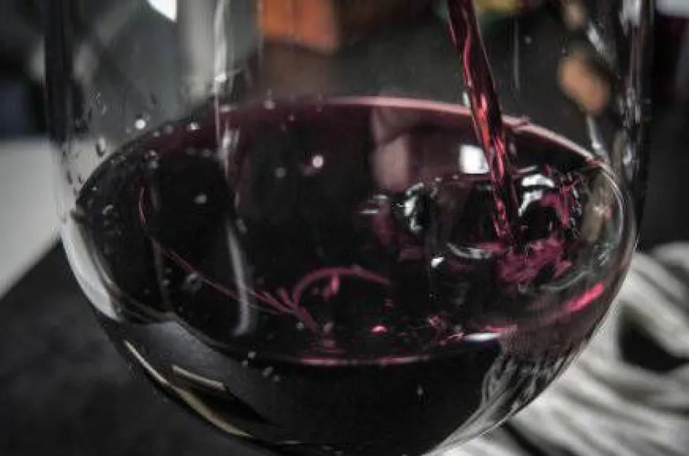 ¿Qué son los famosos taninos del vino?