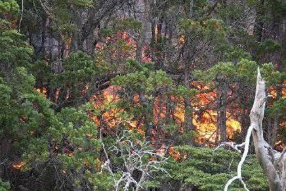 El incendio ya está en las puertas de Epuyén