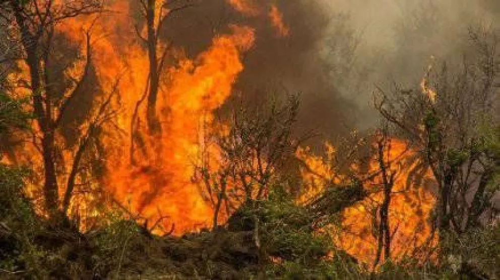 Investigan origen del incendio en Cholila
