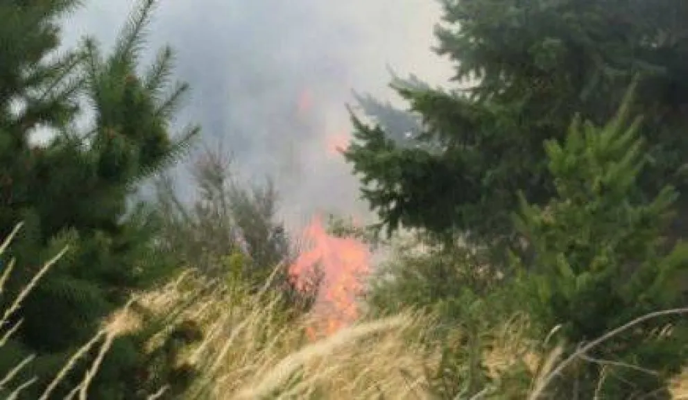 Contuvieron incendio en el cerro Otto