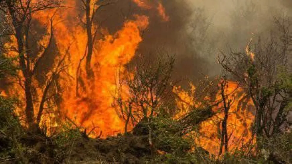 Evacúan a familias por el descontrolado incendio en Cholila