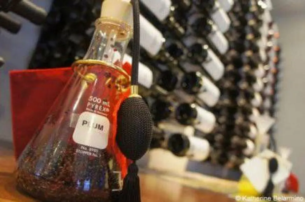 ¿Qué hace que el vino tenga esos aromas particulares?
