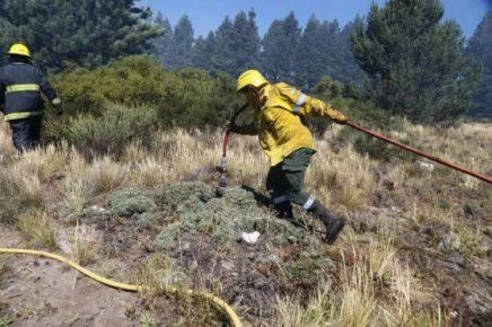 El SPLIF ya enfrentó 473 focos de incendio