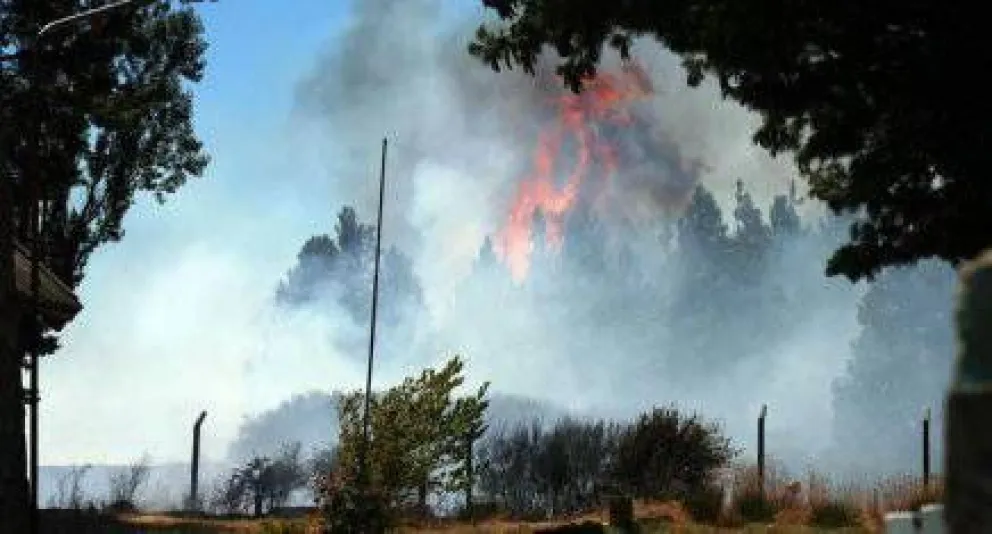Incendio de pastizales en el Ñireco