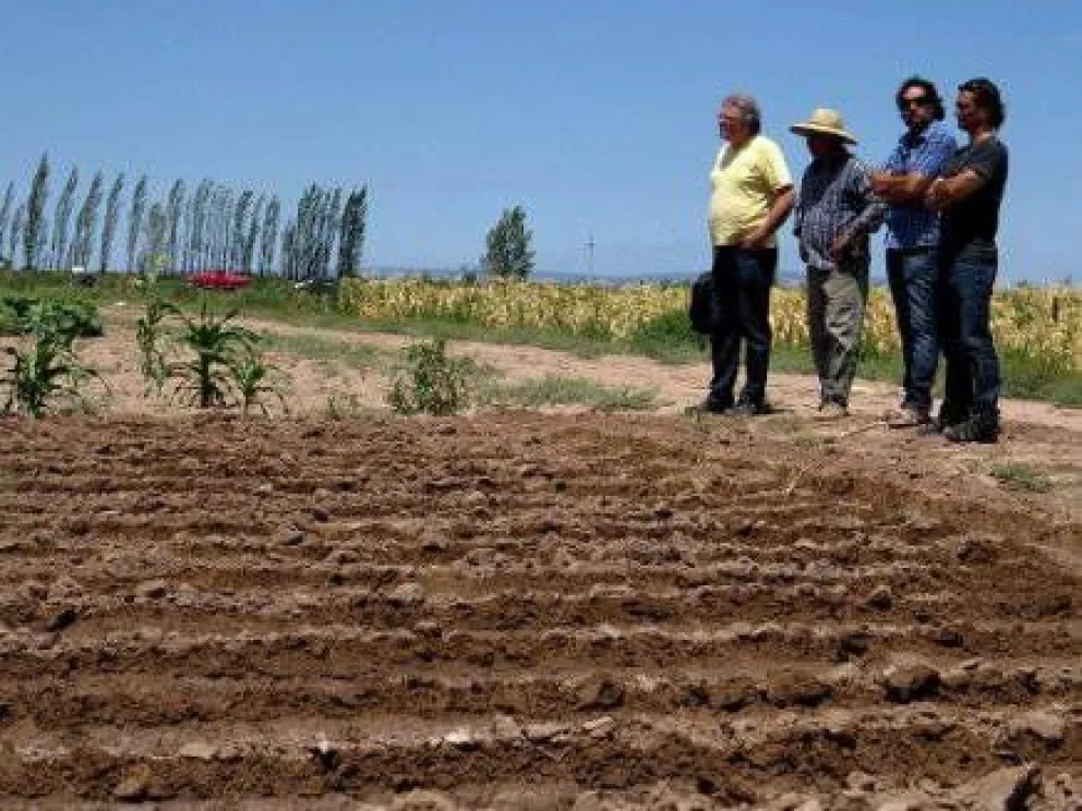 Proveen al Mercado Municipal con productos mendocinos