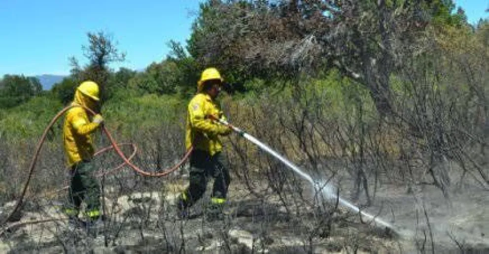 Sigue el trabajo en el incendio de la ruta 40