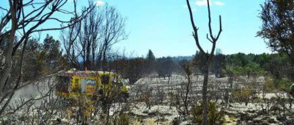Parques asegura que el incendio está otra vez “detenido”