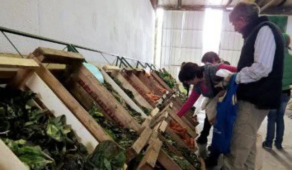 Frutas y verduras en el Mercado Comunitario