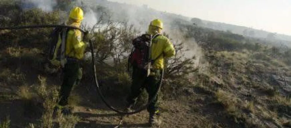 Parques judicializa “abandono” del incendio por parte de brigadistas