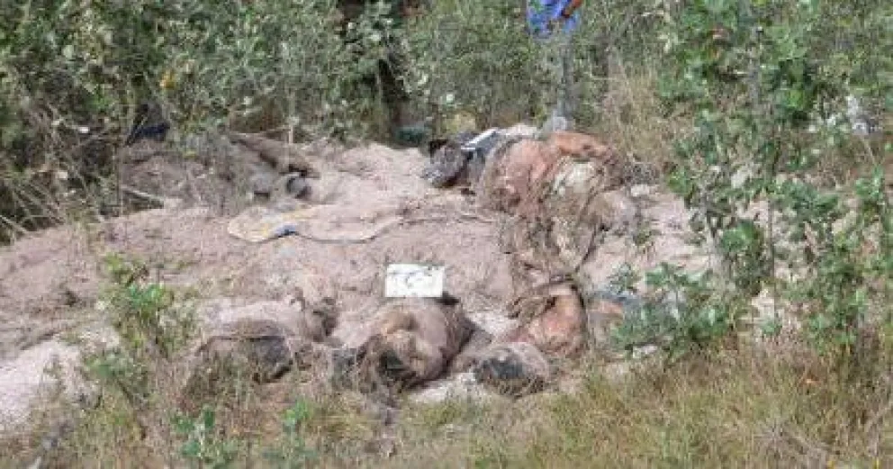 Un barilochense en Ayotzinapa V: más fosas comunes