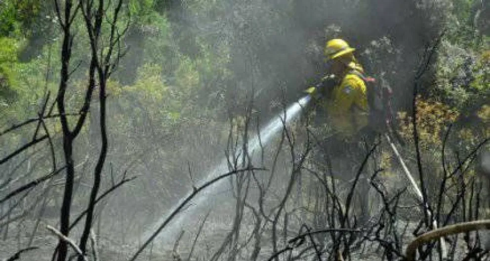 Brigadistas dejaron de trabajar en el incendio y provocaron una fuerte polémica