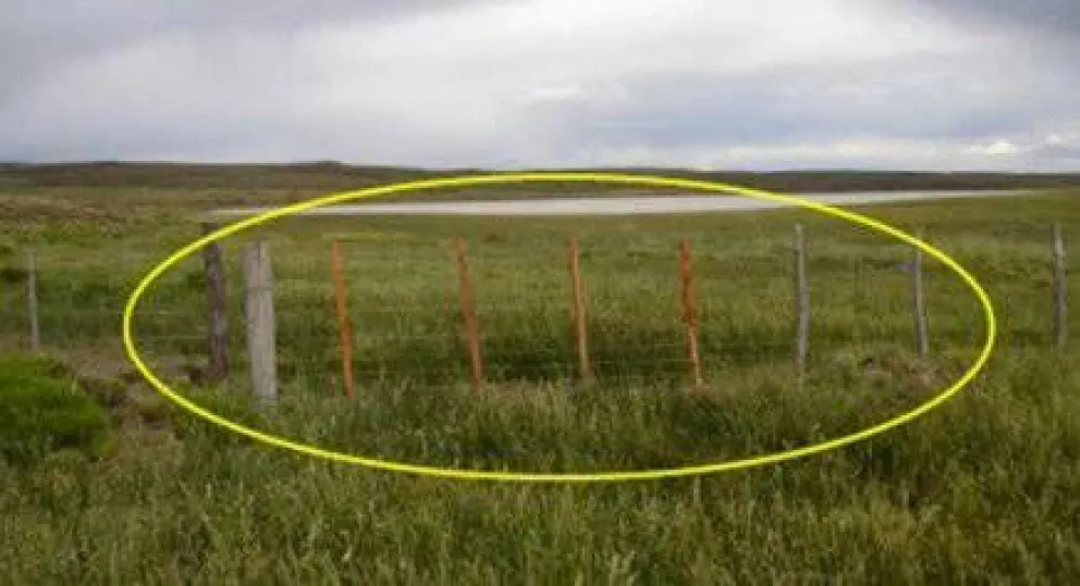 Denuncian despojo de tierras a comunidad mapuche
