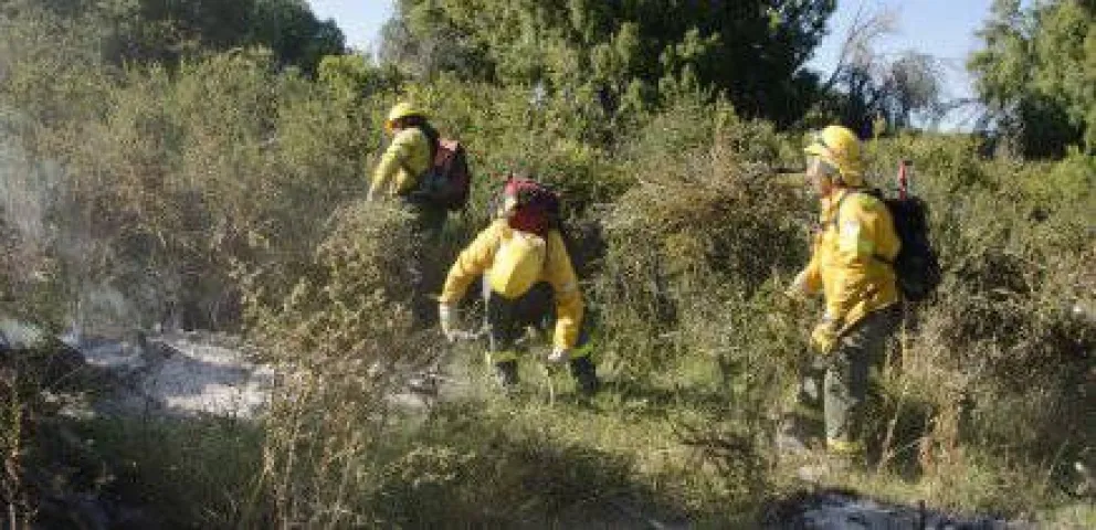 Parques vuelve a asegurar que el incendio está "detenido"