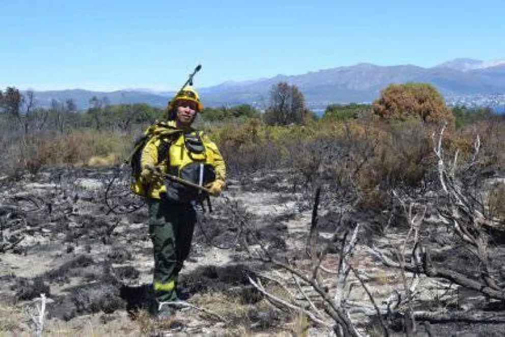 El fuego destruyó 890 hectáreas