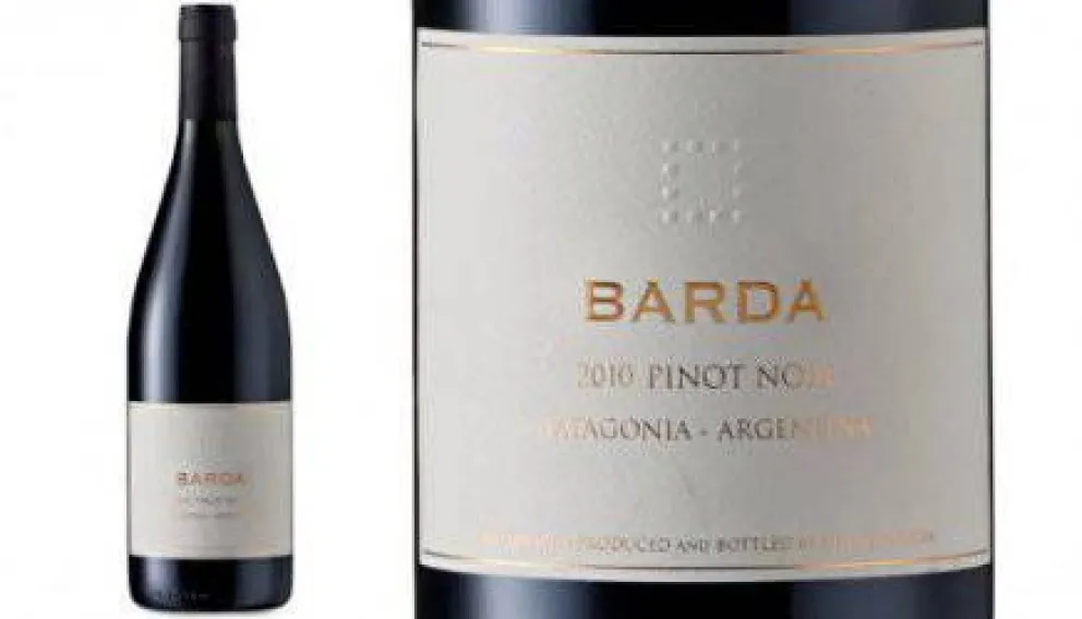 Vino rionegrino, entre los 50 mejores del mundo