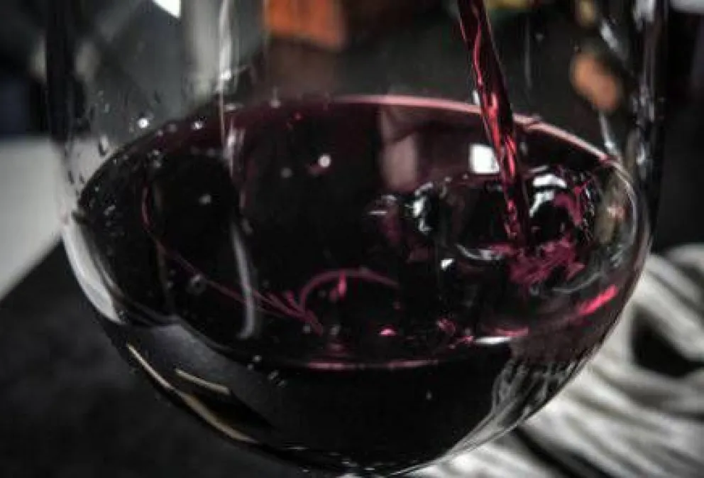 ¿Qué son los polifenoles del vino? Parte II