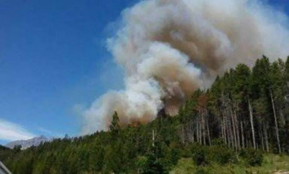 Incendio afectó numerosas hectáreas de bosque nativo en la Comarca Andina