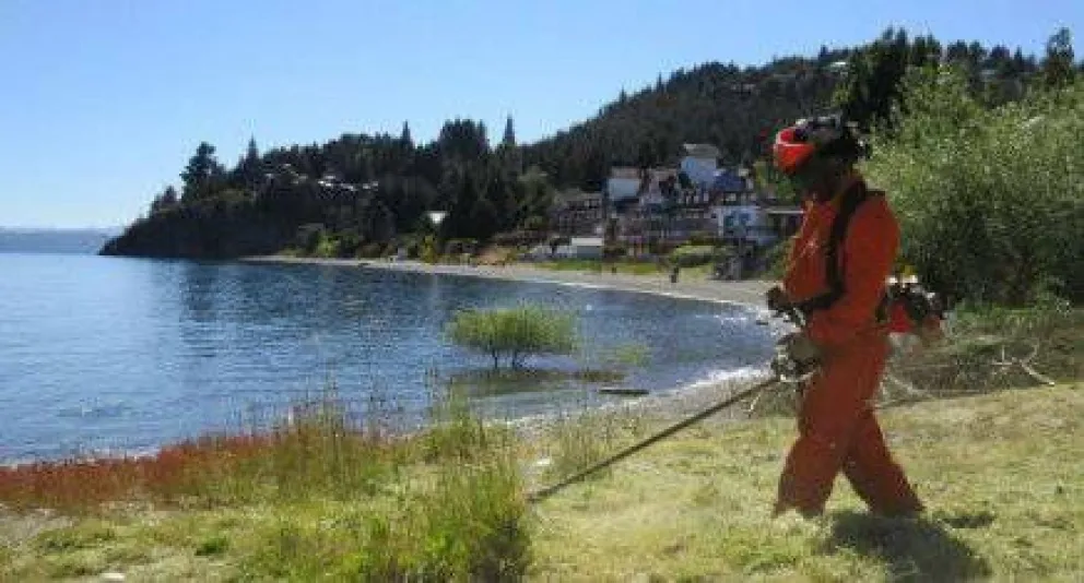 Desmalezan y limpian en Playa Bonita