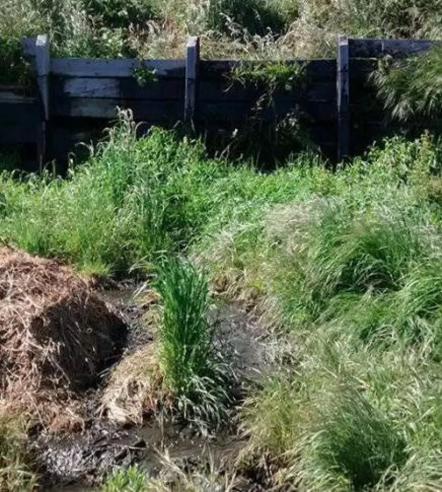 La CEB busca desligarse de los derrames de líquidos cloacales al lago