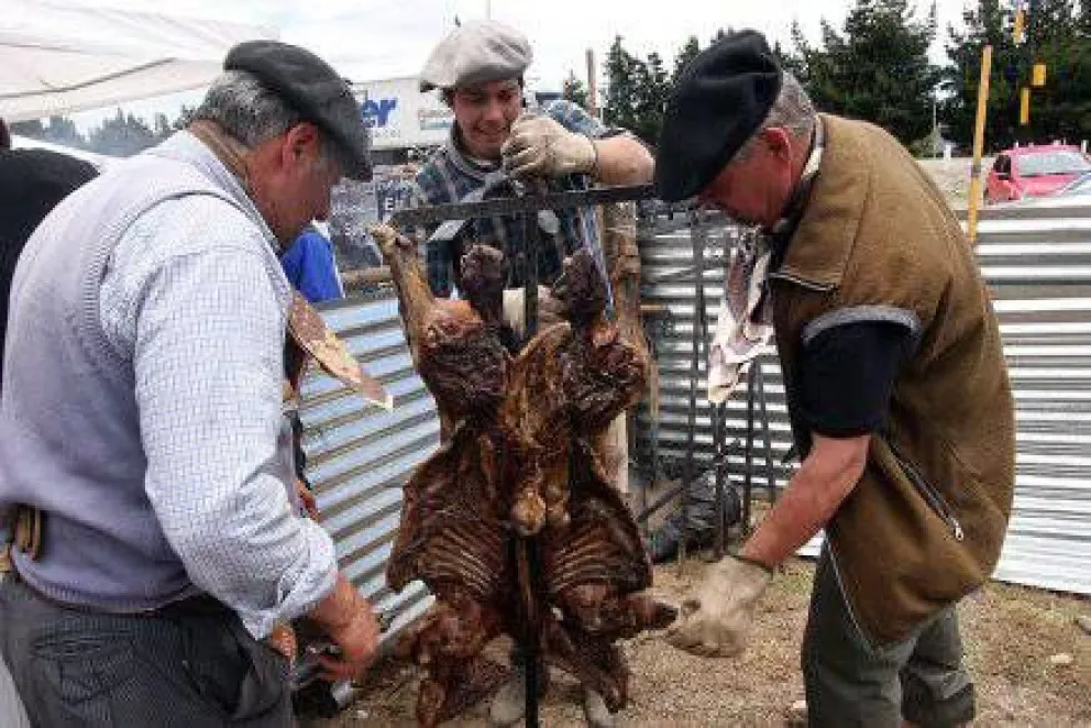 Corderos en Dina Huapi