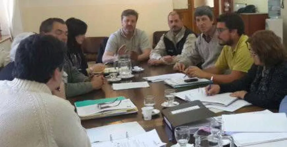 Avanza el proyecto para promover el sector foresto industrial