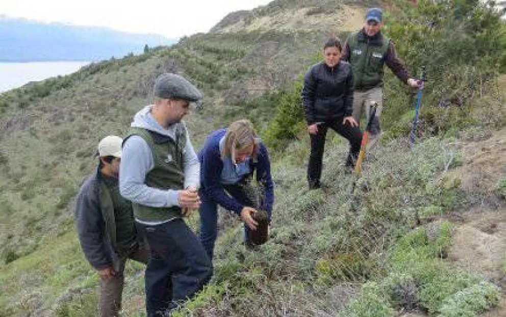 Finalizó la primera etapa de reforestación del Cerro Otto