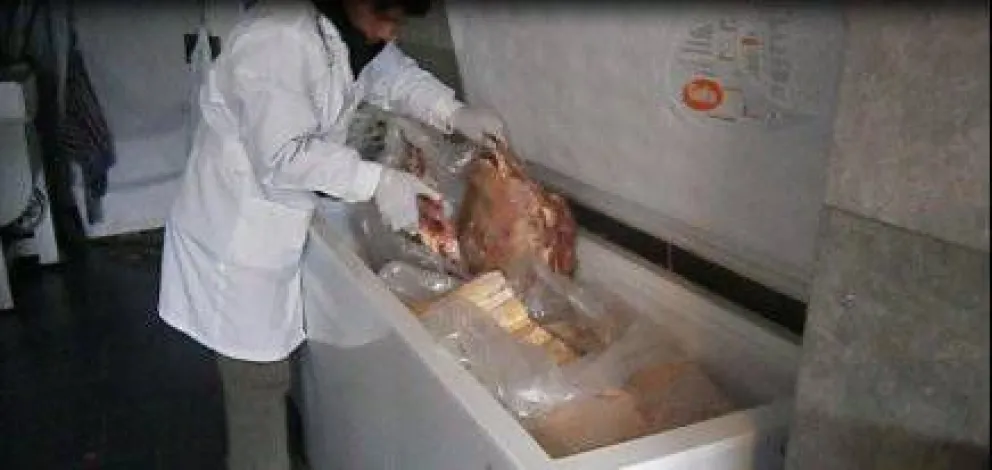 Secuestran carne y máquinas para chacinados