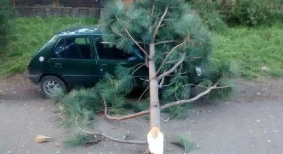 Sigue el alerta por fuertes vientos