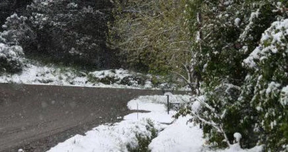 Anuncian continuidad de nevadas