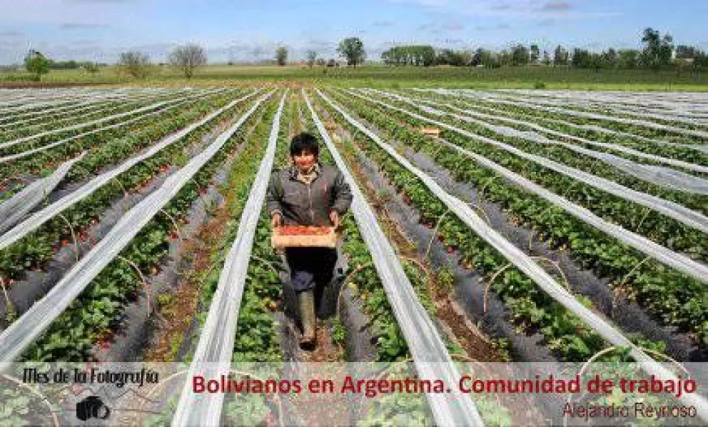 Exponen "Bolivianos en Argentina. Comunidad de trabajo"